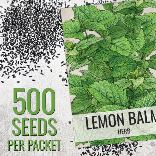 Seed Needs Lemon Balm Seeds to Plant an Herb Garden - 20 Packs - Image 3