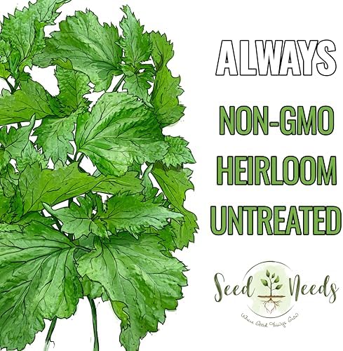 Seed Needs Green Shiso Seeds to Plant an Herb Garden - 1 Pack - Image 5