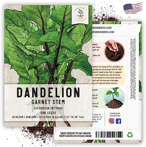Seed Needs Garnet Stem Dandelion Seeds to Plant an Herb Garden - 1 Pack - Image 6