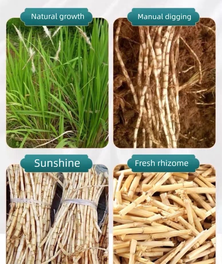 Lalang Grass Rhizome- Pure Natural Chinese Herbal Medicine-Dried Cogon grass root 白茅根3.53oz/100g Used for making soup-Brewing tea-Bai Mao Gen (Cogon grass root) - Image 3