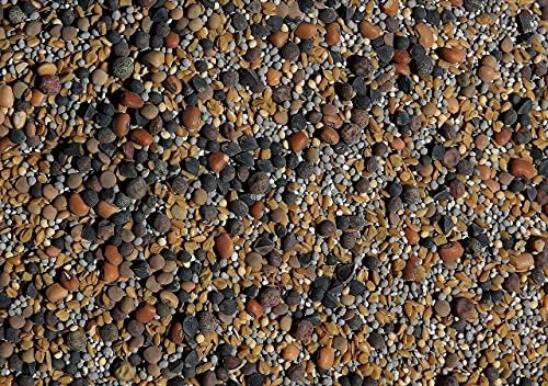 No-Till Cover Crop 13-Seed Mix (1 lb. Bag): [50% Clovers Plus Fenugreek, Vetch, Flax, Cowpeas, Buckwheat, Forage Peas, Millet, Lentils, Crimson Clover, Sweet Yellow, White Clover, Medium Red Clover] - Image 4