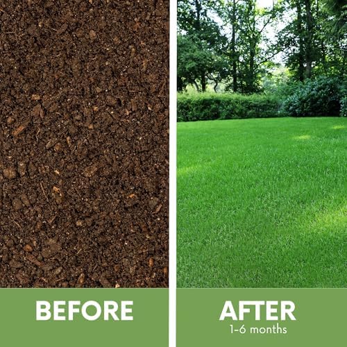 Ruff and Tuff Mow Less Fine Fescue Grass Seed, 2 Lbs, Durable Lawn, Shake to Spread, Covers up to 1000 SqFt - Image 6