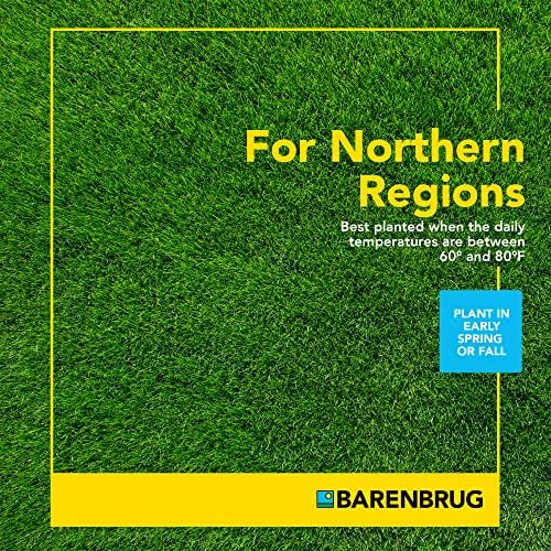 Barenbrug Wonderlawn Sunny Grass Seed Mix for Lawn Care and Landscaping, 10 lbs. Bag - Image 4