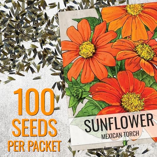 Seed Needs Mexican Sunflower Seeds to Plant Cut Flowers - 2 Packs - Image 3