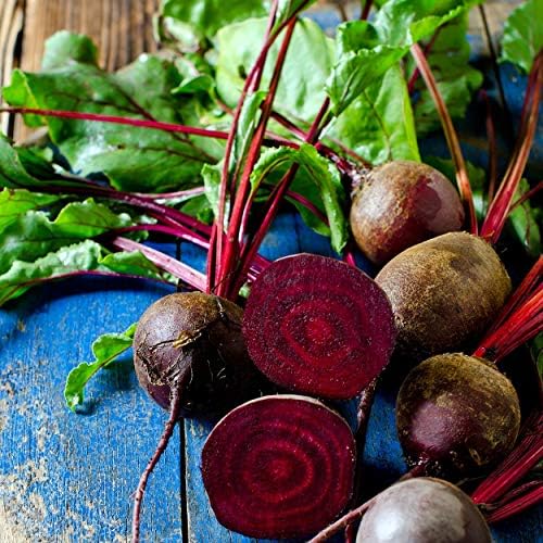 The Old Farmer's Almanac Heirloom Beet Seeds (Detroit Dark Red) - Approx 360 Seeds - Non-GMO, Open Pollinated, USA Origin - Image 5
