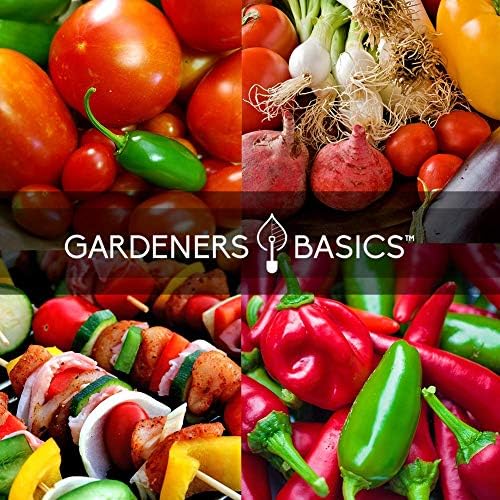 Gardeners Basics, Heirloom Hot Salsa Growing Seed Packets 8 Varieties Habanero, Jalapeno, Serrano Peppers, Roma, San Marzano Tomato, Cilantro, Green Onion, Tomatillo for Garden Non-GMO Heirloom - Image 5