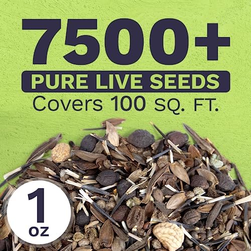 Wildflower Seeds Butterfly and Humming Bird Mix - Large 1 Ounce Packet 7,500+ Seeds - 23 Open Pollinated Annual and Perennial Species (Pack of 3) - Image 3