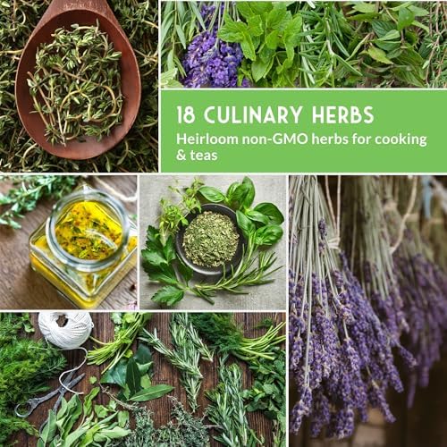 Culinary Herb Seeds 18 Variety Pack for Planting Indoors or Outdoors - Image 6