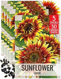 Seed Needs Joker Sunflower Seeds to Plant Cut Flowers - 5 Packs by SeedNeeds