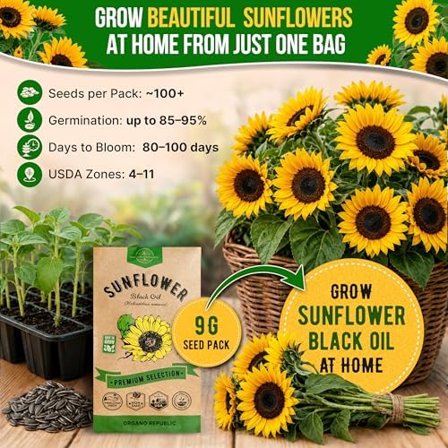 Sunflower Black Oil Seeds Pack 9G - Over 100 of Non-GMO Heirloom Sunflower Seeds for Planting Vegetables in Individual Seed Packet, Vegetable Seeds for Planting Indoor & Outdoor Garden - Image 4