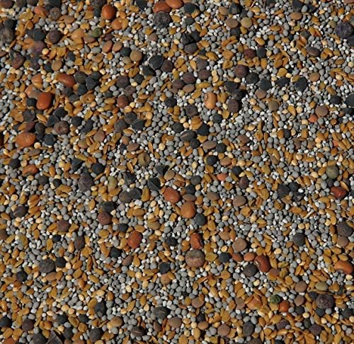 No-Till Cover Crop 13-Seed Mix (1 lb. Bag): [50% Clovers Plus Fenugreek, Vetch, Flax, Cowpeas, Buckwheat, Forage Peas, Millet, Lentils, Crimson Clover, Sweet Yellow, White Clover, Medium Red Clover] by Cannaisseur