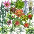 COTSEN 25 Pcs Artificial Succulent Plants Fake Succulents Assorted Unpotted Suitable for Office Garden Interior Decor by COTSEN