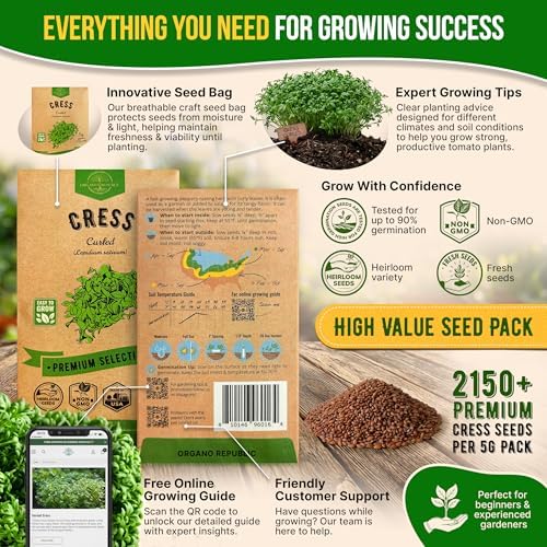 Curled Cress Seeds Pack 5G - Over 2,150 Non-GMO Heirloom Cress Seeds for Planting Greens in Individual Seed Packet, Greens Seeds for Planting Home Garden Indoor & Outdoor Gardening - Image 3