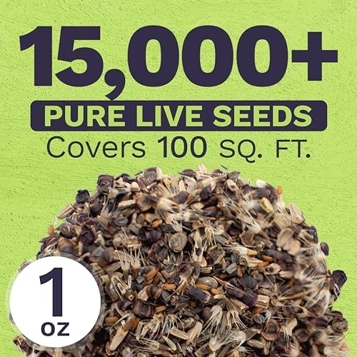 Perennial Wildflower Seeds Mixture - Bulk 1 Ounce Packet - Over 15,000 Pure Live Seed - Open Pollinated and Non GMO… - Image 3