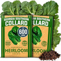 HOME GROWN Georgia Southern Collard Seeds, 600+ Seeds, Brassica oleracea by HOMEGROWN