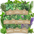 Organic Herb Seeds Variety Pack - 10 Individual Packs - 2026 Season - Basil, Cilantro, Dill, Thyme, Parsley and More! for Indoor & Outdoor Planting (Non-GMO, Certified Organic) by SweetYards
