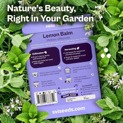 SVI 1000 Lemon Balm Non GMO Heirloom Herb Seeds, Melissa officinalis - Image 2