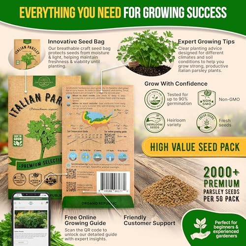 Italian Parsley Seeds Pack 5G - Over 2,000 Non-GMO Heirloom Parsley Seeds for Planting Herbs in Individual Seed Packet, Herbs Seeds for Planting Home Garden Indoor & Outdoor Gardening - Image 3