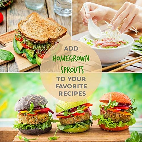 Handy Pantry Organic Broccoli Sprouting Seeds 2.5 Pound Resealable Bag - Image 6