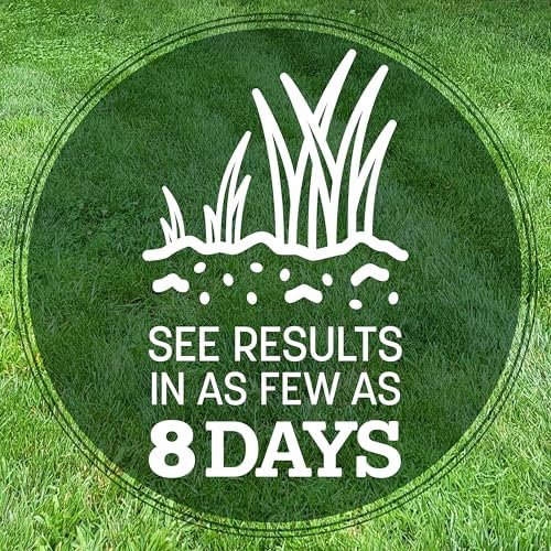 Pennington Kentucky 31 Tall Fescue Grass Seed, Drought-Resistant, 7 LB - Image 4