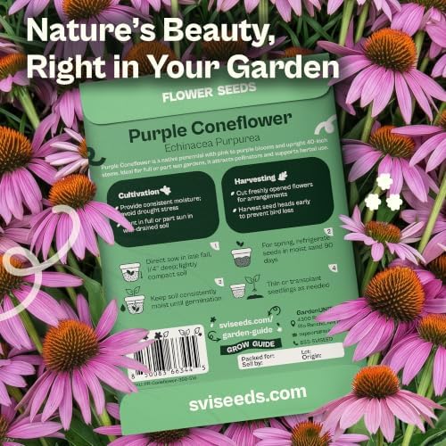 SVI 350 Purple Coneflower Seeds (Echinacea purpurea) – Purple Echinacea Herb Cone Flowers Seed Packets – Attracts Pollinators, Perennial Flower Seeds for Flower Garden & Outdoor Garden Bed - Image 2