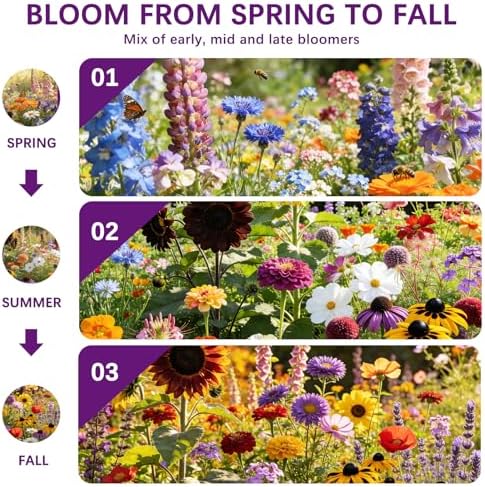Wildflower Seeds Mix 1/2 lb, 19830+ Seeds Perennial& Annual 36 Varieties Flower Seeds for Planting，Non-GMO Heirloom Bulk Wild Flower Seeds for Indoor & Outdoors, FlowerSeed Packets for Home Garden - Image 3
