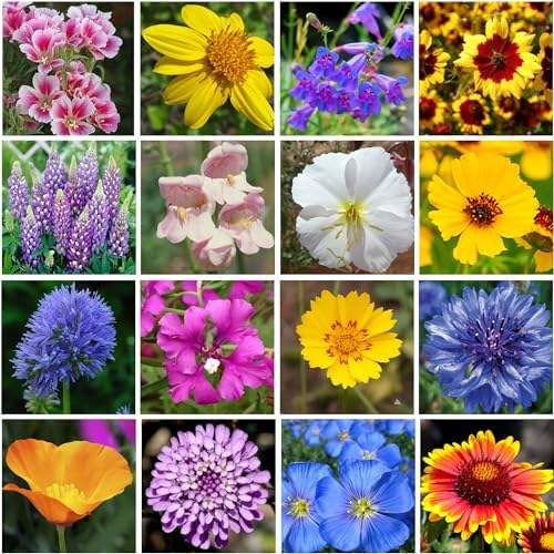 on the Go Seed Shaker - Western Wildflower Seeds Regional Mix - Organic, Non-GMO - 100% Pure Seed - 18 Different Wildflowers Seeds of Annual and Perennial, 8oz - Image 4