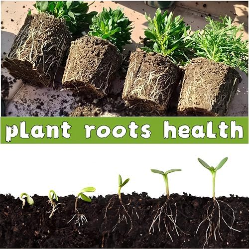 480 Cells Seed Starter Tray, 48 Pack Seed Starter Kit - Image 6