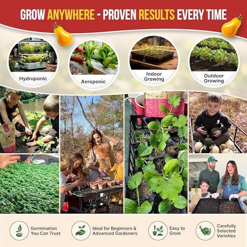 Organo Republic 14 Rare Tomato & Tomatillo Garden Seeds Variety Pack - 1,020+ Non-GMO Heirloom Tomato & Tomatillo Seeds for Outdoors & Indoor Home Gardening - Image 5