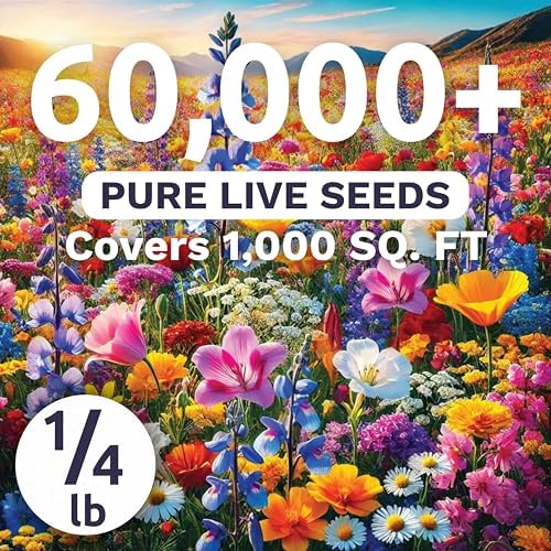 Midwest Regional Mix - Bulk 1/4 Pound Pouch - 60,000 Flower Seeds for Planting - Wildflower Mix - Image 2