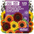 125 Autumn Beauty Mix Sunflower Heirloom Flower Seeds, Helianthus Annuus by KVITER