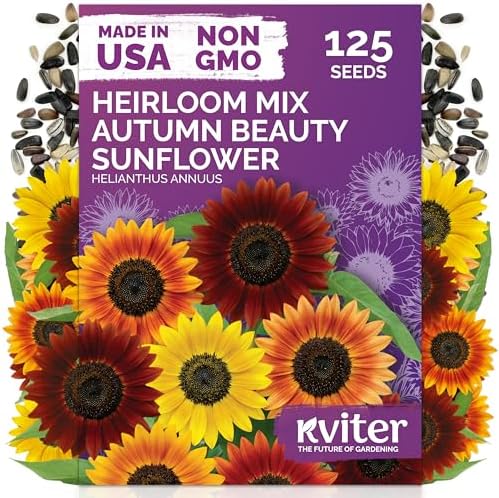 125 Autumn Beauty Mix Sunflower Heirloom Flower Seeds, Helianthus Annuus by KVITER