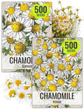 Seed Needs Chamomile Seeds Variety Pack of 2 Non-GMO & Heirloom Tea Herbs by SeedNeeds