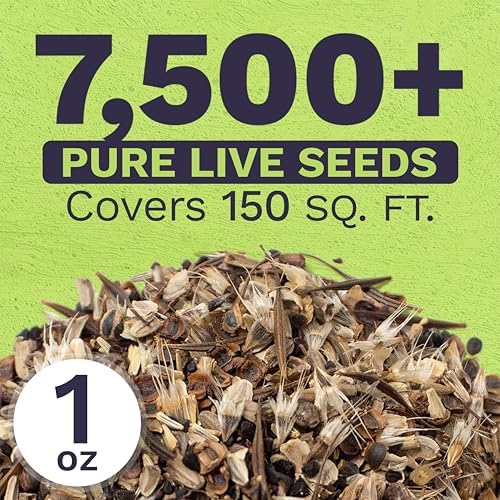 Cut Flower Garden Seeds - Extra Large 1 Ounce Packet - Over 7,500 Fresh Open Pollinated Non-GMO Wildflower Seeds - Long Lasting Annuals and Perennials with Bright Colors - Image 3