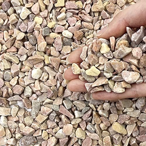FANTIAN 2 lbs Pea Gravel for Plants, 3/8 Inch Pebbles for Vase by FANTIAN-GardeningMakesLifeBetter