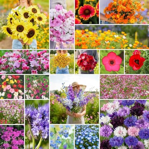 Eden Brothers All Annual Wildflower Mixed Seeds for Planting, 25 lb, 12,00,000+ Seeds with Sunflower, Indian Blanket, Scarlet Flax, Attracts Pollinators, Plant in Spring, Zones 3, 4, 5, 6, 7, 8, 9, 10 by EdenBrothers