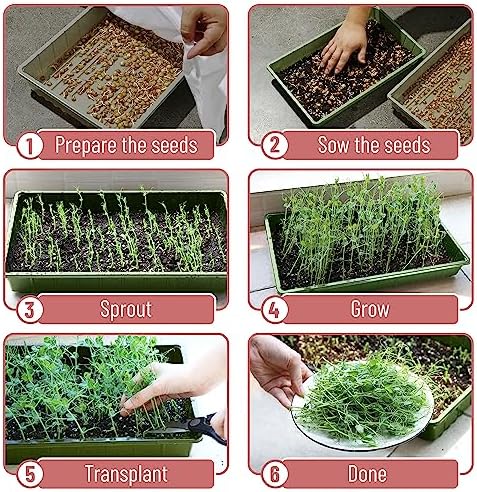 Mr. Pen- Seed Starter Trays, 5 Pack, 17"x10"x2.4" - Image 5
