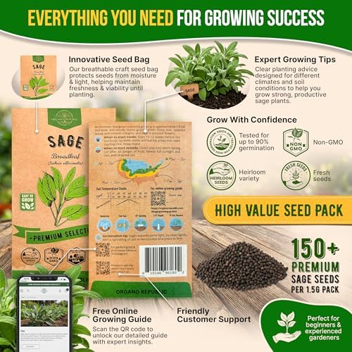 Sage Seeds Pack 1.5 G - Over 250 Non-GMO Heirloom Sage Seeds for Planting Herbs in Individual Seed Packet, Herbs Seeds for Planting Home Garden Indoor & Outdoor Gardening - Image 3