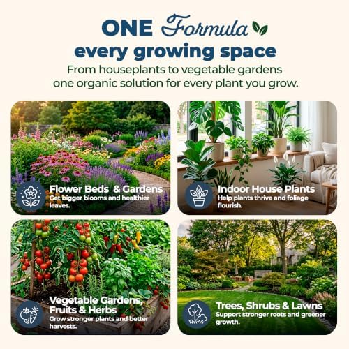 Organic Plant Magic Fertilizer & Plant Food for House Plants & Garden 1lb - Image 5