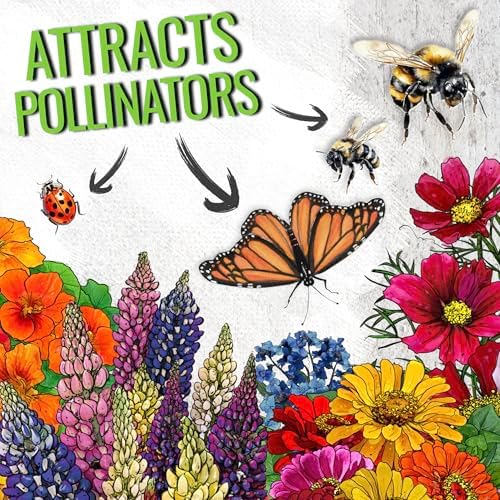 Seed Needs Wildflower Seeds Butterfly and Hummingbird Mix 2 Ounce Bulk Pack - Image 4