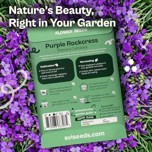 SVI 2500 Purple RockCress Seeds (Aubrieta deltoidea) – Purple Rock Cress Seed Packets – Ground Cover Garden Flowers Perennial Flower Seeds for Rock Gardens, Walls & Outdoor Flower Garden - Image 2