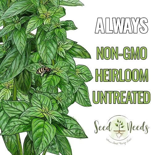 Seed Needs Basil Seeds Duo Pack - Non-GMO & Heirloom Lemon & Lime - Image 6