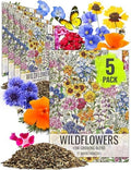 Seed Needs Low Growing Wildflower Seed Mix 5 Bulk Packs (1 Ounce Each) by SeedNeeds
