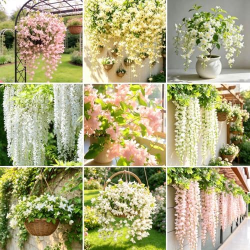 Climbing Weeping Jasmine Flower Seeds for Planting, 350+pcs Perennial Fragrant Climber Jasmine Seeds Plants, Heirloom Non-GMO Hummingbirds Flowers for Home Garden Outdoors by MIXRUGBACWATER