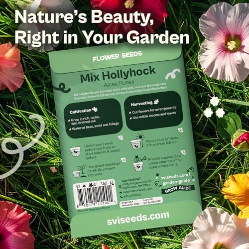 SVI 100 Mix Hollyhock Seeds (Alcea rosea) - Mallow, Common Hollyhock Seed Packets, Attracts Hummingbirds - Heirloom Flower Seeds for Outside & Inside, Meadows, Fences, Beds - Image 2