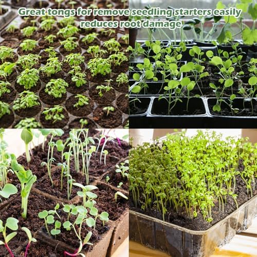 2 PCS Seedling Transplant Tongs, Stainless Steel Seed Planter Tool - Image 7