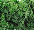 200+ Dwarf Siberian Kale Seeds for Planting - Heirloom Non-GMO by Axel%27s+Garden+Seeds