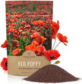 Red Poppy Seeds - Bulk 1/4 Pound Bag - Over 800,000 Wildflower Seeds by SweetYards
