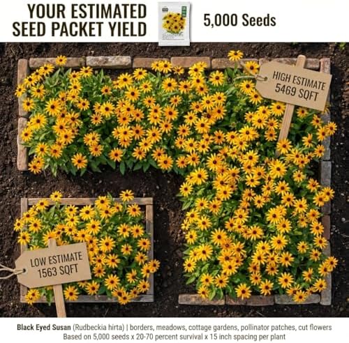 5000 Black Eyed Susan Flower Seeds for Planting - Rudbeckia hirta Native Wildflower, Pollinator Garden, Heirloom, Non-GMO, USA Grown by RDR Seeds - Image 2