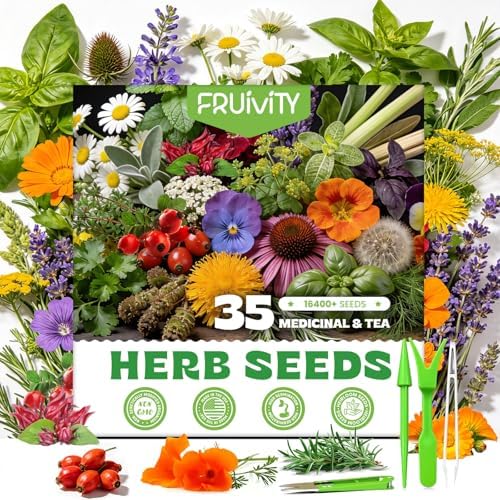 35 Herb Seeds Variety Pack, 16,400+ Non-GMO Heirloom Seeds for Planting by Fruivity